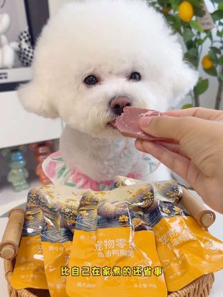 好吃的鱼油鸭小胸趁新品活动划算,赶紧给毛孩子多囤几包#宠物零食 #萌宠好物 #超便宜超划算