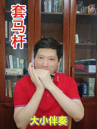 《套马杆》套的是桀骜不驯,奔放自由#清泉口琴学苑 #吴永斌复音口琴教学 #好物推荐🔥 #口琴伴我行 #草原歌曲