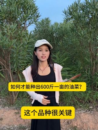 今年打算种油菜的注意了!想要油菜高产,种子一定得选好,这个壮香油,含油量高达51.86%一斤菜籽相当于有半斤油,今年中油菜的一定要去冲!#油菜籽 #油菜种子 #油菜种植 #油菜种子 #油菜