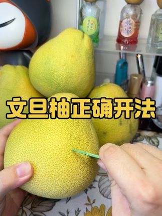 真的建议大家中秋都来吃这个爆汁的福建度尾文旦柚!好吃到每年期待中秋节到来!#度尾文旦柚 #文旦柚的正确吃法 #文旦柚季节 #正宗文旦柚 #福建度尾文旦柚
