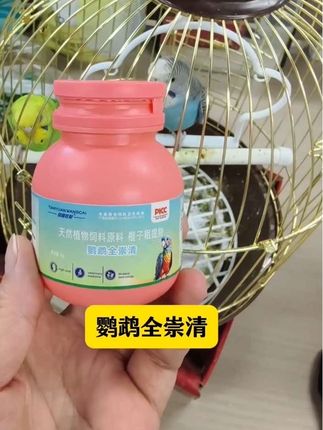 秋季养鹦鹉,必做一件事#鹦鹉鹦鹉萌萌哒逗鹦鹉 #鹦鹉 #鹦鹉日常 #鹦鹉小白 #鹦鹉漆