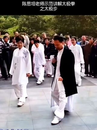 陈思坦老师示范太极拳,之太极步(观看提升)