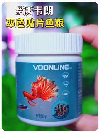 时不时给小鱼喂个贴片鱼粮真的能发现不一样的乐趣,小鱼聚在一起抢食带给你的情绪价值直接拉满#养鱼日记 #鱼粮 #鱼饲料 #贴片鱼粮 #观赏鱼
