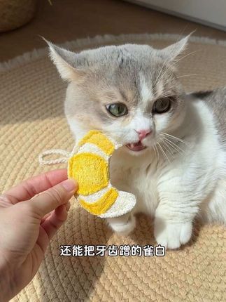 天然丝瓜烙玩具 能让小猫自己给自己刷牙的玩具,把牙垢都磨干净了~添加猫薄荷 木天蓼,颜色还是果蔬取材#猫玩具 #猫咪刷牙 #逗猫神器 #宠物玩具推荐