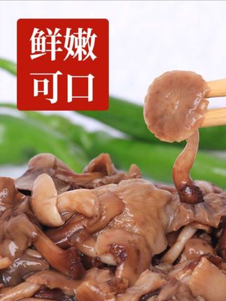 #东北野生鲜榛蘑#东北特产#