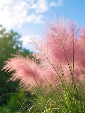 治愈人心又充满想象力的童诗,让孩子每天读一读,随便一句写近作文里都是锦上添花#作文素材#作文#好书分享#写作技巧