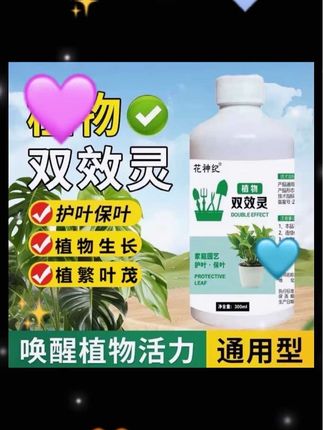 桂花发出的这些求救信号,能看懂的才是养桂花高手!#桂花 #花卉绿植 #养花小知识 #爱生活爱养花