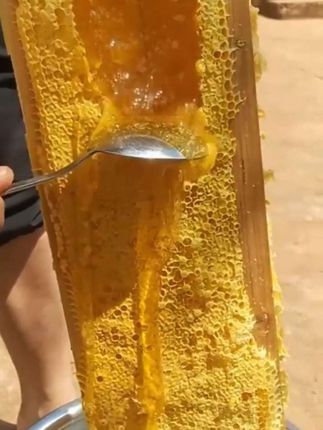 #蜂蜜 #农产品 #超便宜超划算 #农家土特产 #土特产干货