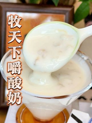 牧天下嚼酸奶一边吃一边嚼的酸奶,奶味特别浓郁,百吃不厌!#嚼酸奶 #牧天下嚼酸奶 #亲测分享 #好吃不贵经济实惠