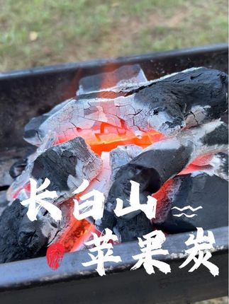 原产长白山的苹果炭,二次碳化火力更猛,户外烧烤围炉煮茶都可以#户外烧烤野炊 #户外露营 #户外烧烤 #烧烤炭 #苹果炭