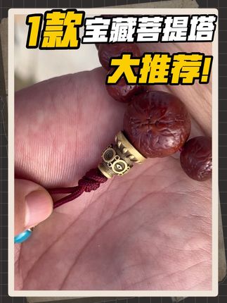 玩凤眼的没有这个菩提塔?等于白玩! 几十块钱玩出几千的感觉,超有性价比!最主要的还不掉色,气不气?哈哈😃#文玩配饰 #文玩爱好者 #盘串 #凤眼菩提 #文玩配饰搭配