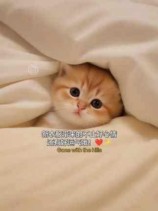 #新款时尚V领西装 #早秋中性风穿搭#秋季穿搭如何摆脱土气感#早秋松弛感穿搭#毫不费力地打开初秋穿搭