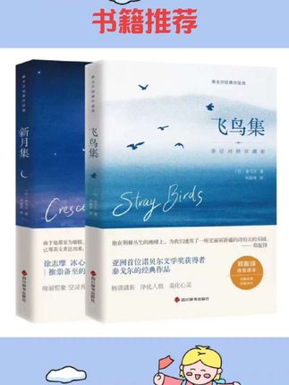 #好书分享 2024新版 飞鸟集 新月集 中英对照 泰戈尔经典文学佳作 珍藏版全#好书推荐 #书籍推荐