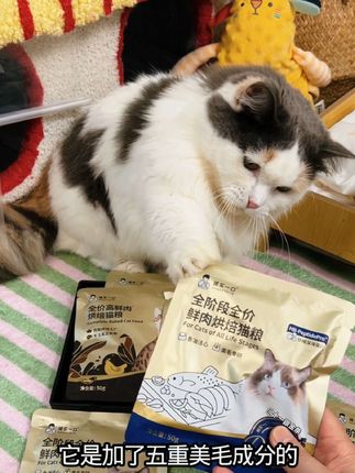 姐妹们,快去薅诚实一口的小金袋羊毛,3包都快小半斤了,高鲜肉还添加鱼油美毛,现在还有库存,赶紧拍#萌宠好物 #宠物食品 #猫零食 #宠物零食 #猫粮