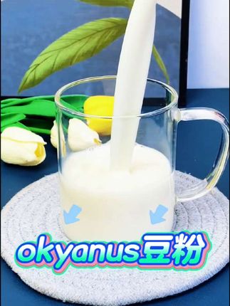 OKYANUS 纯豆浆粉(非转基因) 20克*15袋 #okyanus