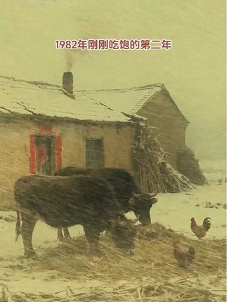 一九八零年分田到户了,一九八二年刚刚吃饱的第二年,一九八五年以后才逐渐吃上了白面大米,你还记得什么时候吃上白面馒头的吗?其实吧,想想现在的大鱼大肉太幸福了。#乡愁记忆#童年回忆#农村生活#农村雪景#即梦AI