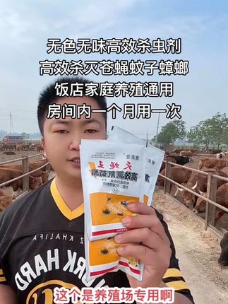 养殖场专用无色无味高效杀虫剂,持久长效高效杀灭苍蝇蚊子蟑螂,鸡鸭鹅猪牛羊狗猫兔,饭店卧室厨房都可以用,养蜜蜂的不能用,室内一个月用一次就行了,两到三分钟见效,五到十分钟苍蝇蚊子蟑螂全部上西天,我家牛场里从来没有苍蝇蚊子蟑螂,厂家直接发货到家,你享受优惠批发价#三农 #抖音助农 #灭蟑螂 #灭蚊子 #灭苍蝇