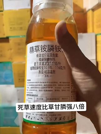 #无限回购的宝藏单品 精草胺磷铵盐是草甘磷,草胺磷的升级版,是升级的百草枯,对于开荒,老家院子里荒草,果园杂草处理很有效。农作物要定向喷施效果更好,施一年能管一年没有杂草#精草胺磷铵盐#除草剂厂家 #除草剂#点击小黄车下单