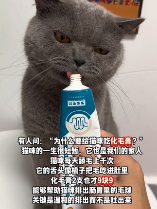 猫咪为什么要排毛? 那是因为它的舌头像梳子,天天舔毛把毛发吃进肚里容易堵住肠胃#猫咪排毛 #化毛膏 #养猫新手 #猫咪化毛