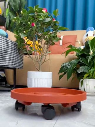 #上热门加厚花盆花盆特大号底座托盘塑料移动底盘花盆托盘底座带轮花盆#花盆底坐#带轮#超便宜超划算 #好物推荐🔥