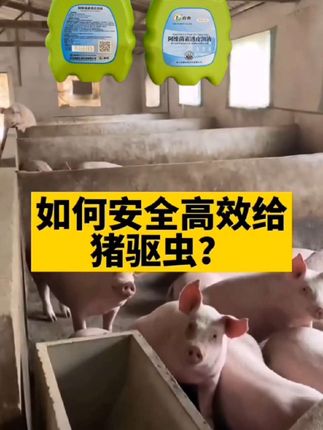 如何高效给猪牛羊驱~虫#阿维菌素 #驱虫 #猪牛羊养殖 #抖音助农