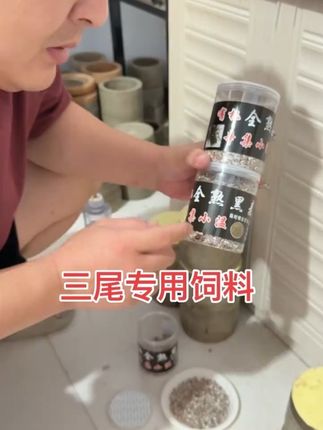 顶级三尾喂养饲料 #上热门 主打一个省事,需要的小黄车下单!#强烈推荐 #鸣虫文化 #蟋蟀 #蛐蛐