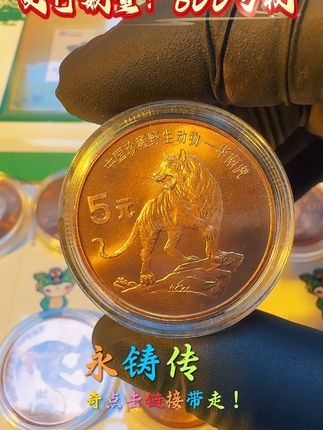 华南虎紫铜纪念币:一枚永铸的山林王者传奇 #收藏钱币 #硬币收藏 #老钱币 #纪念币 #收藏