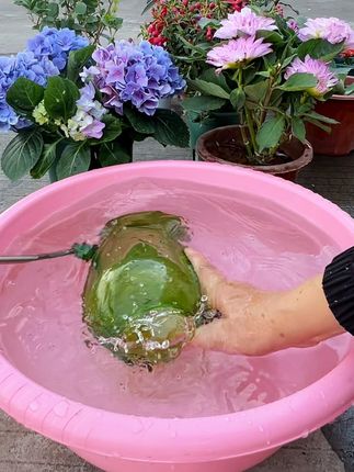 #长嘴浇水壶 不伤花叶,直浇根部,瓶身带刻度,兑水施肥也很方便#长嘴壶 #花卉绿植 #庭院浇水壶
