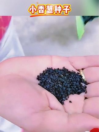 A股为什么会暴涨,背后的三大原因缺一不可,国家出手稳准狠股民终于盼来了春天?#A股#财经科普#美国降息#祖国强大#股票