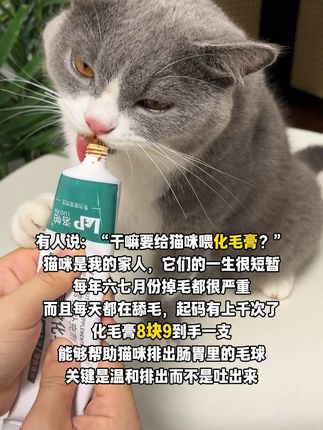 猫狗化毛膏一支8块9!千万不要等到毛孩子出事了才后悔#萌宠好物 #养猫新手 #化毛膏 #猫咪排毛球