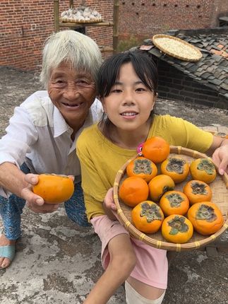 #脆柿子 #好吃不贵经济实惠 #超便宜超划算 #优质农产品 #柿子
