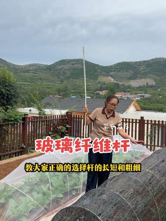 玻璃纤维杆 早6点 晚6点都开播,可进入咨询#玻璃纤维杆#爬藤架#拱棚支架