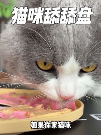 快给你家猫咪也试试这个舔舔盘,没有哪个舔舔怪会不喜欢!#宠物舔食垫 #养猫人 #萌宠好物 #猫咪舔舔乐 #新手养猫