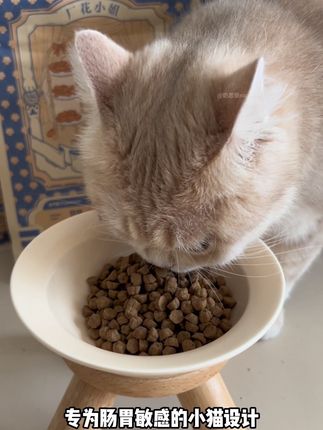 这价格就能到手这么大袋厂花小姐的烘焙猫粮!还送试吃哦,价格真的超划算~ #厂花小姐#厂花小姐猫粮 #厂花小姐烘焙猫粮#呵护肠胃