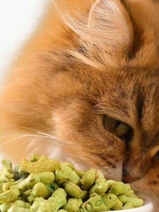 #猫草零食 猫草化毛猫咪排毛饼干猫零食猫薄荷营养猫狗零食#宠物