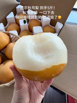 秋月梨5斤装才这价!又脆又甜 爆甜多汁~个大新鲜,皮薄肉厚,一口下去太满足了!#秋月梨 #梨 #应季水果 #新鲜采摘 #强烈推荐