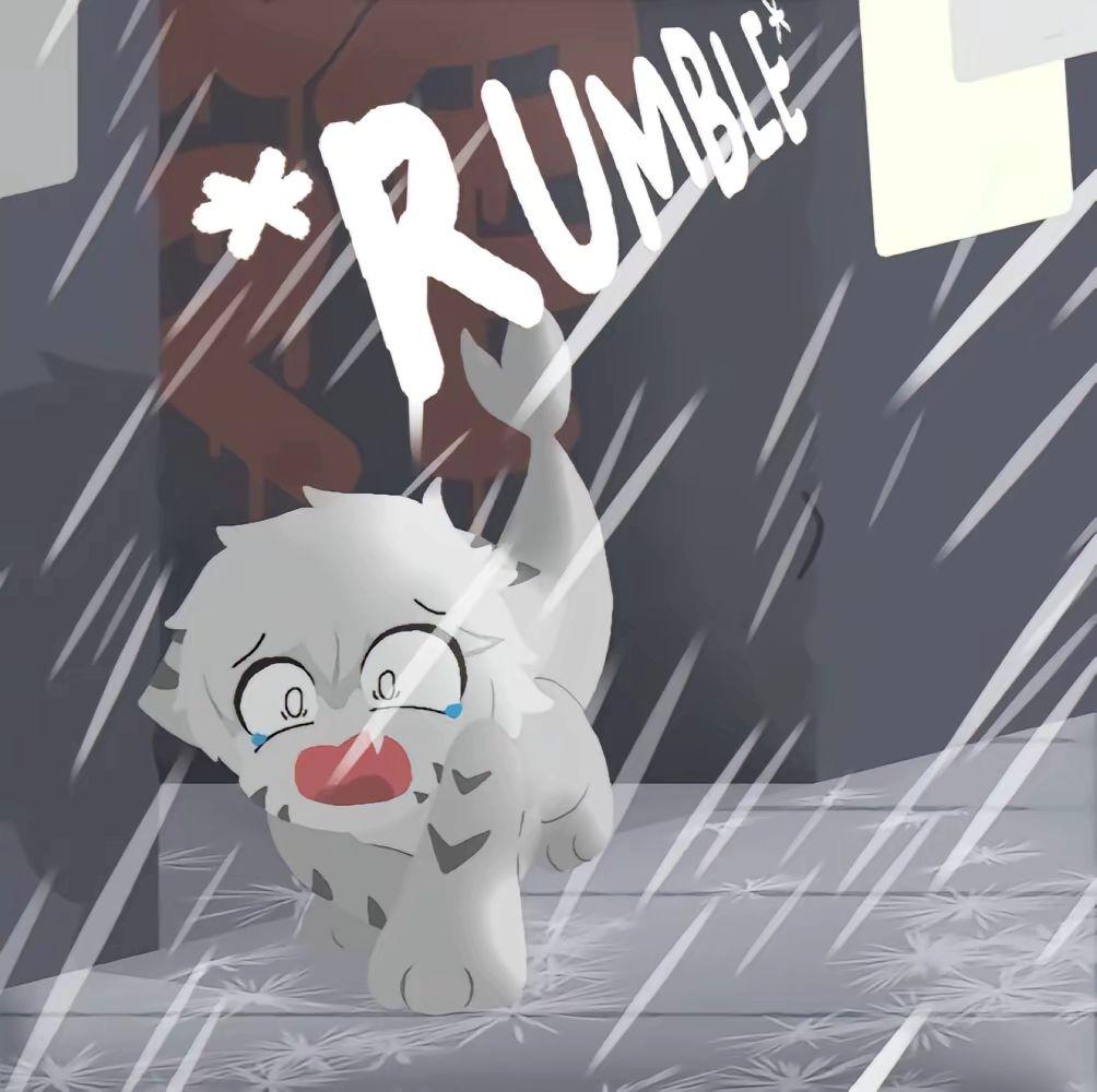 #兽 #兽化实验室 #喵鲨