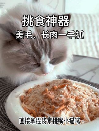 当挑食猫遇见香喷喷的肉松冻干!一招秒变干饭王!#萌宠好物 #萌宠出道计划 #宠物出道计划 #新手养猫#好物推荐🔥