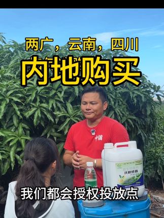 #沃根绿霸 #攀枝花芒果 #云南芒果 #百色芒果 #十三义农业
