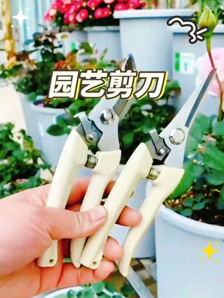 剪刀奶白色不锈钢修枝园艺摘果剪花艺剪刀插花工具家用剪园林家用#好货推荐 #实用工具 #修枝剪刀 #剪刀