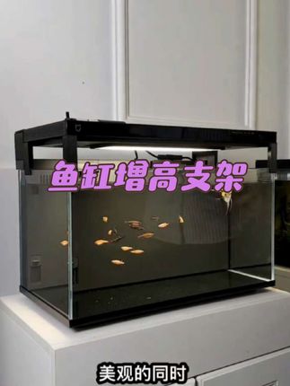 #鱼缸里的大自然 #鱼缸支架 #小米鱼缸
