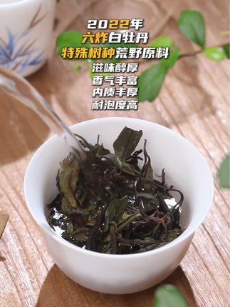 3年多的荒野白牡丹,不一样的树种不一样的香气滋味#召唤茶友 #白茶 #白牡丹 #强烈推荐 #特色茶