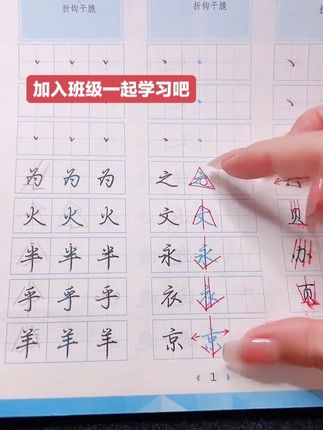 #硬笔书法教学 #零基础学书法 #书法入门