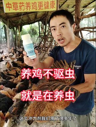 动物身上有虱子跳蚤螨虫就用虫立净,这个虫立净我用了很多年了,效果很好。没有体内外双驱的产品,不要再去花冤枉钱了。虫立净给鸡鸭鹅喷的时候一定要在晚上,把灯关了,等鸡鸭鹅休息的时候喷,这样不会给它带来惊吓,鸡身上要喷,圈舍里面也要喷。小鸡大鸡下蛋的鸡鸭鹅都可以放心用,猪牛羊猫猫狗狗都可以用。#体外驱虫 #鸡身上长虱子怎么办 #鸡掉毛咋回事 #鸡啄毛是怎么回事 #三农