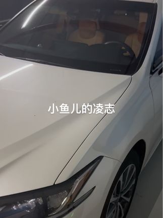 适用雷克萨斯座椅防踢垫ES200/ES300h/NX260/RX300改装饰车内用品