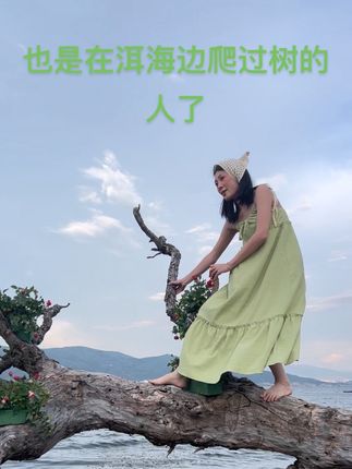 #谁能想到 谁能想到,来洱海拍个照还要爬树呢😹😹