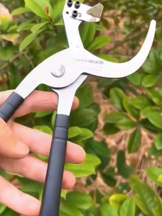果树环割刀 这就是大家都在寻找的新型果树环割刀,用它给果树环割简直太方便了!它是利用杠杆原理,按压起来更加省力,自带卡槽,不用勾树枝,不费枝条,一刀就能搞定,不管是粗枝条还是细枝条都能使用,环割果树再也不用那么费劲了,家里种果树的朋友赶紧备上一把吧!#果树环割刀 #环割 #环割刀 #环割技术 #助力三农