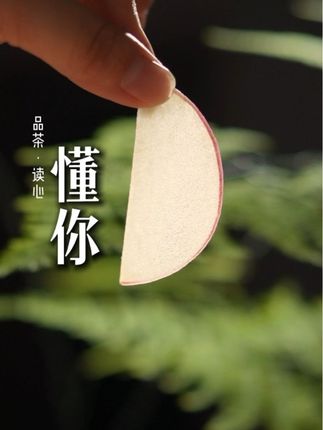 有的人对你好 是因为你对他好 而有的人对你好 是因为懂得你的好 哪里会有四季如春的人士 只不过有人让适宜的温柔 流淌向了最重要的你#茶生活 #情感共鸣 #自愈系慢生活 #懂你 #人生感悟