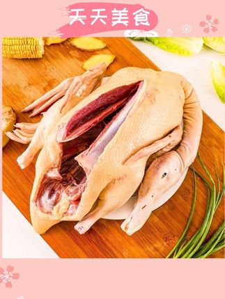 新鲜现杀散养300天麻鸭(顺丰包邮-不带内脏)每只肉净重4斤以上#麻鸭 #散养麻鸭 #鸭子