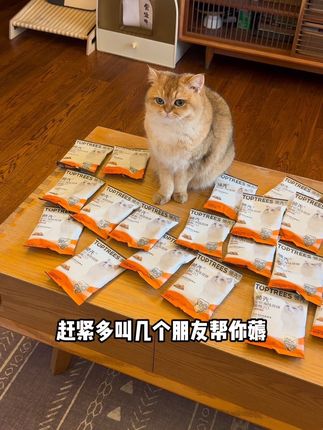 赶紧薅!9.9到手五包领先家新品猫粮,小猫贼爱吃还对毛发友好#新手养猫 #养猫好物 #金渐层